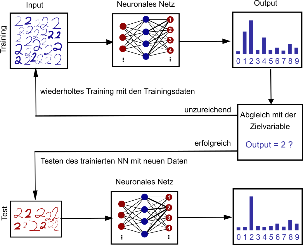 Trainingsdaten verändern die Gewichtungen im NN. Ergebnis wird mit Testdaten geprüft.
