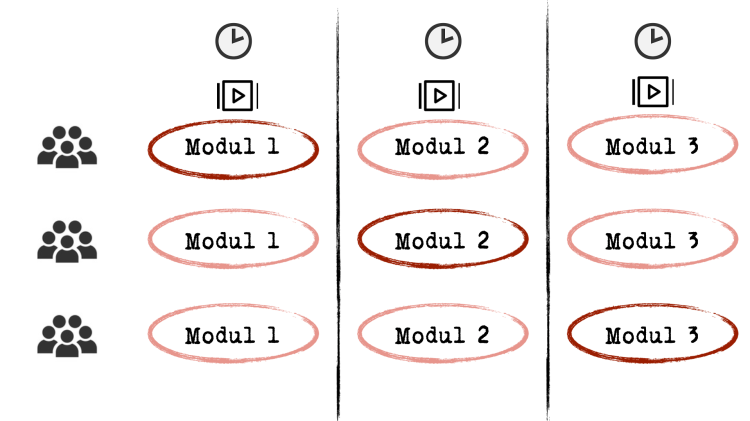 3 Zeilen mit den Modulen 1-3. Ein Modul rot umrandet (=Präsenzunterricht). Die anderen pink (= Videokonferenz). 